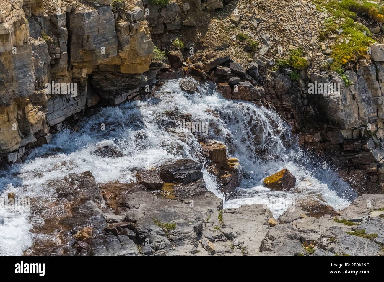 Chute D'Eau Le Long Du Sentier Snowbird Pass Dans Le Parc Provincial Du Mont Robson, Colombie-Britannique, Canada Banque D'Images