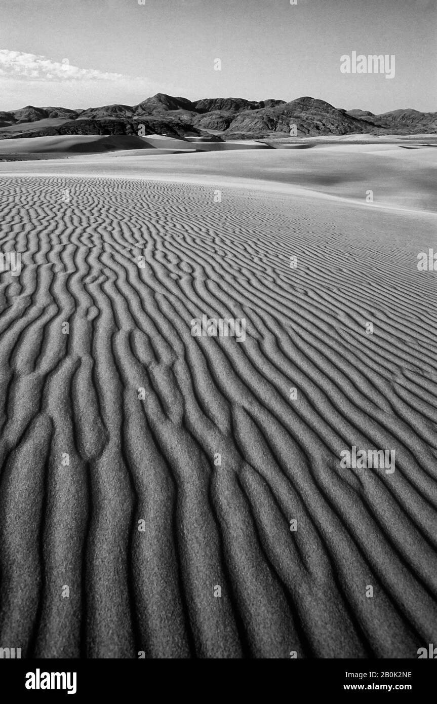 NAMIBIE, DÉSERT DU NAMIB, RÉGION DE LA RIVIÈRE KUNENE, DUNES DE SABLE Banque D'Images