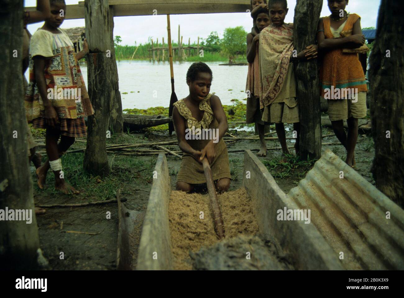 PAPOUASIE-NOUVELLE-GUINÉE, SEPIK RIVER, JEUNE FEMME QUI A PIQUANT LE PALMIER POUR LA CONSOMMATION Banque D'Images