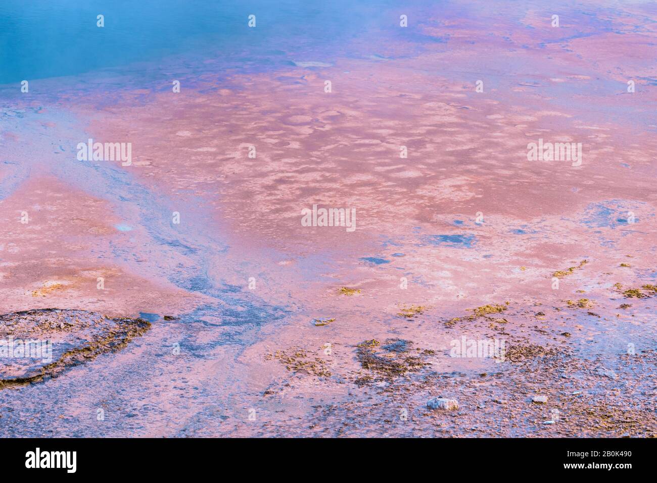 Bord de la source chaude bleue avec une petite vapeur d'eau s'échappant sur un sol brun orange coloré. Banque D'Images