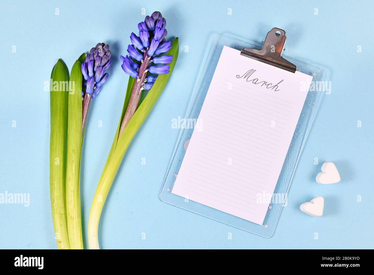 Concept de mois de mars avec presse-papiers avec feuille vierge avec le mot « Arch » écrit sur le dessus, fleur de printemps de jacinthe violette et marshmallow hearst sur Light bl Banque D'Images