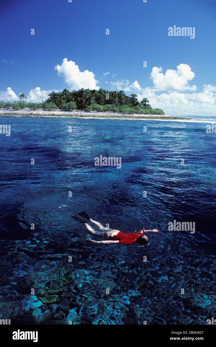 MICRONÉSIE, CAROLINE ISL. L'ATOLL NGULU, L'ÎLE DES OISEAUX (L'ÎLE EXTÉRIEURE) LES TOURISTES PLONGÉE AVEC TUBA DANS LAGOON Banque D'Images