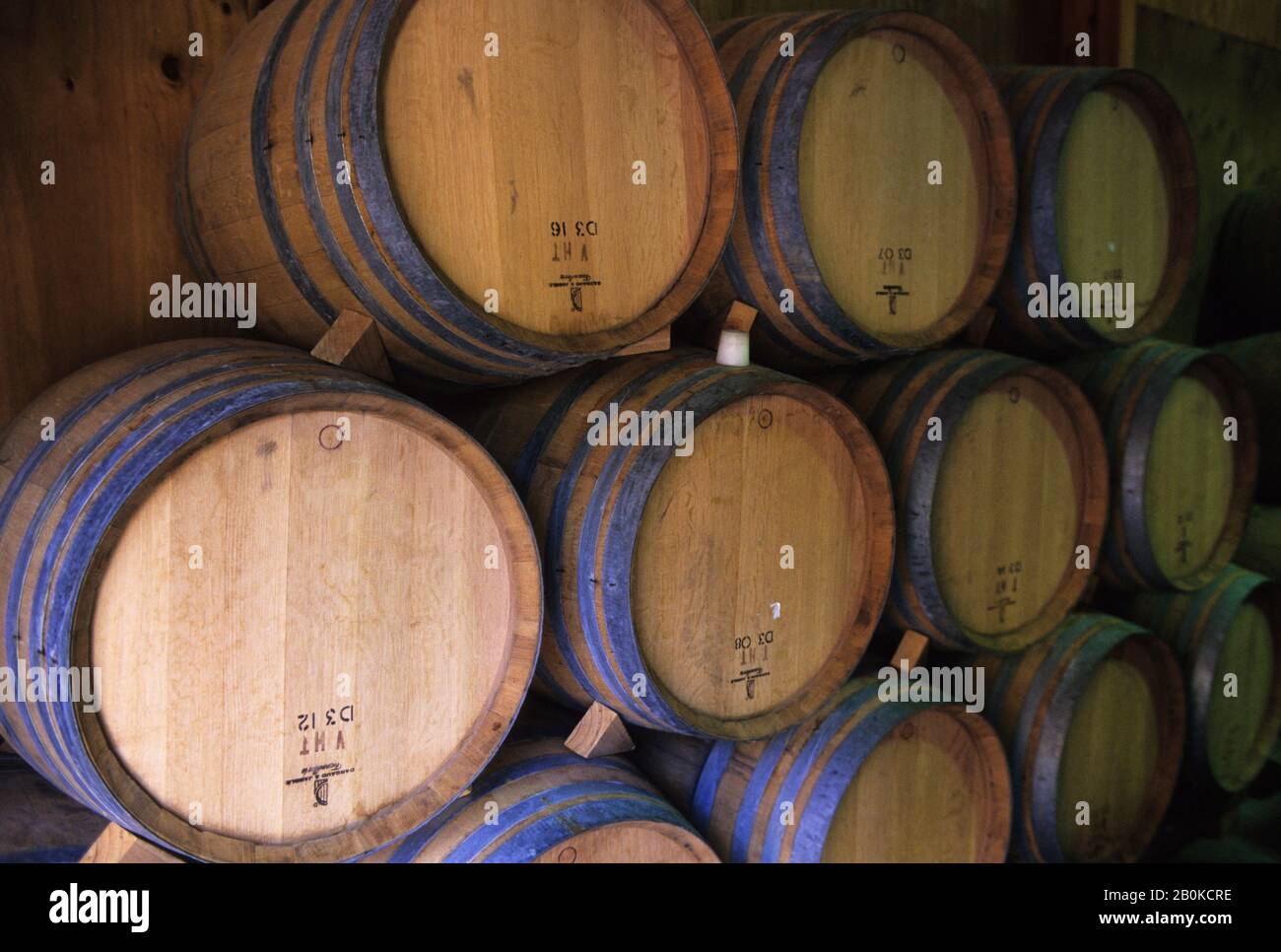 NOUVELLE-ZÉLANDE, PRÈS DE QUEENSTOWN, GIBBSTON VALLEY WINERY ET RESTAURANT, TONNEAUX À VIN Banque D'Images
