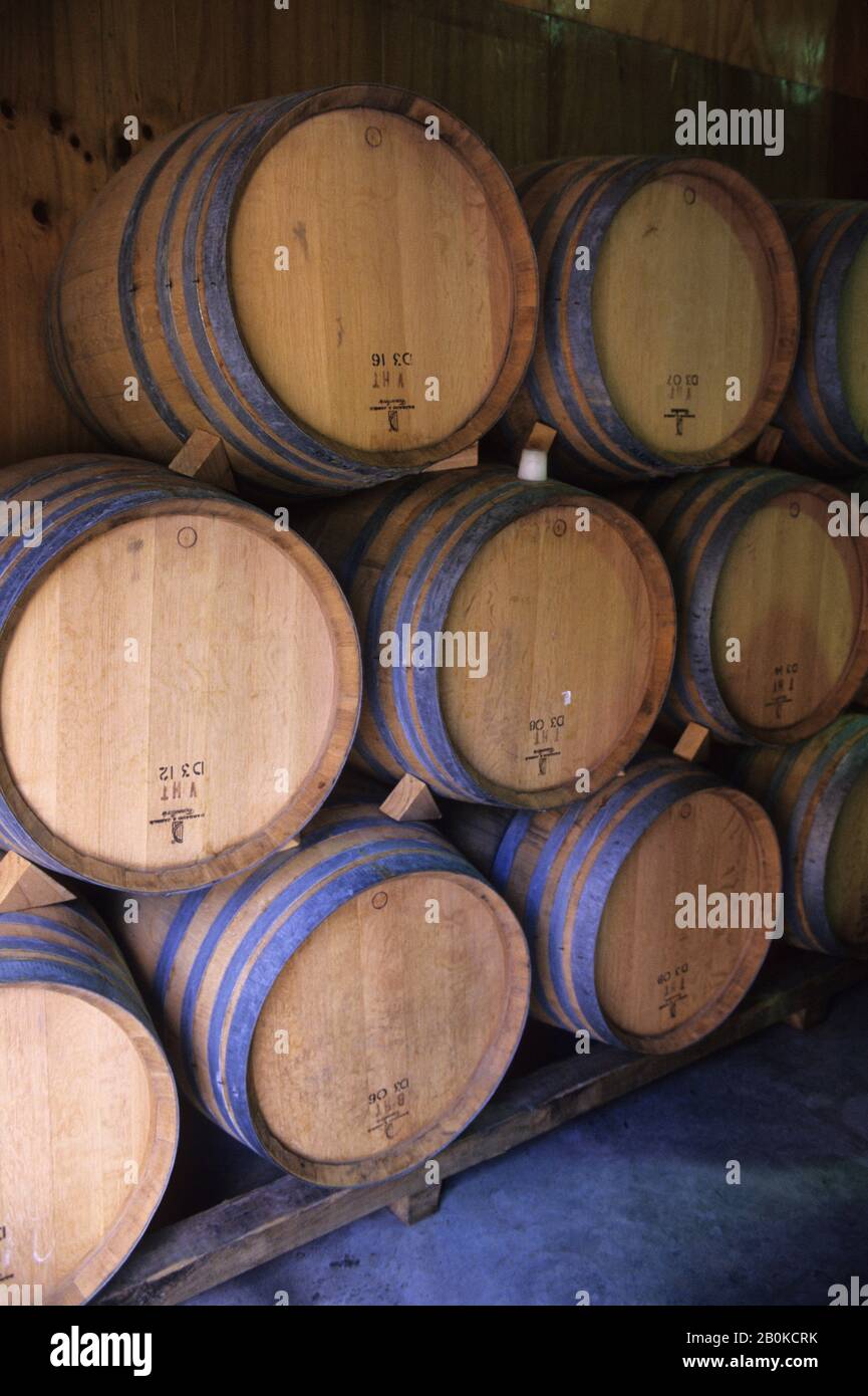 NOUVELLE-ZÉLANDE, PRÈS DE QUEENSTOWN, GIBBSTON VALLEY WINERY ET RESTAURANT, TONNEAUX À VIN Banque D'Images