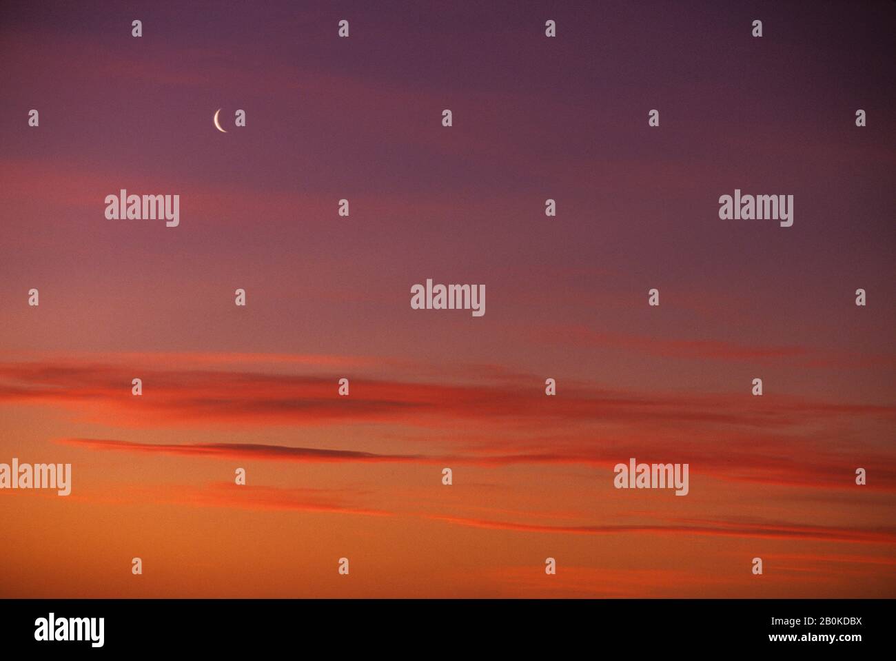 NOUVELLE-ZÉLANDE, OCÉAN PACIFIQUE SUD, OFF DUNEDIN, COUCHER DE SOLEIL AVEC NOUVELLE LUNE Banque D'Images