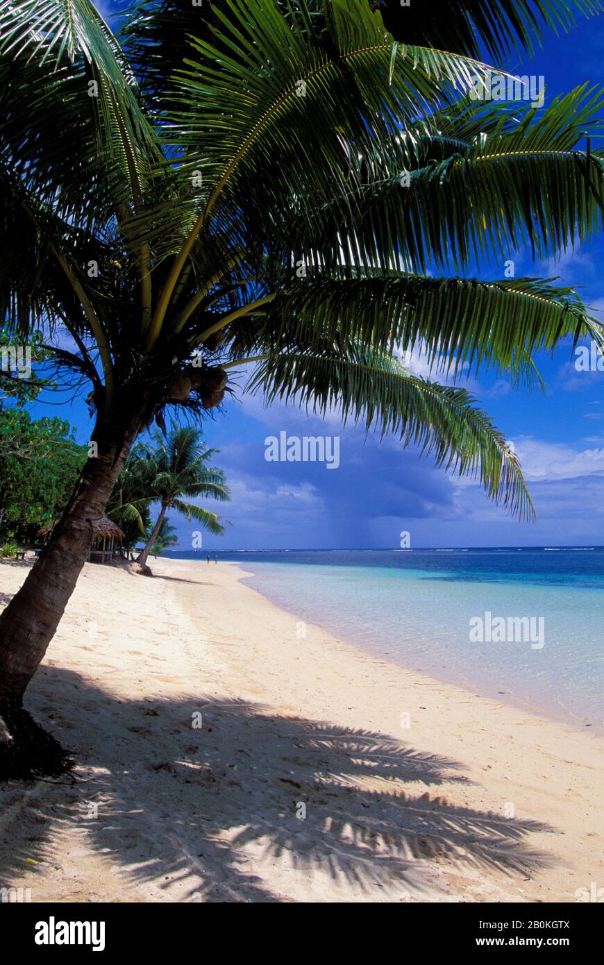 SAMOA OCCIDENTALES, ILE SAVAI'I, PLAGE Banque D'Images