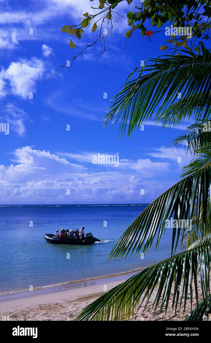 SAMOA OCCIDENTALES, ILE SAVAI'I, BAIE FAGAMALO, TOURISTES À ZODIAQUE Banque D'Images