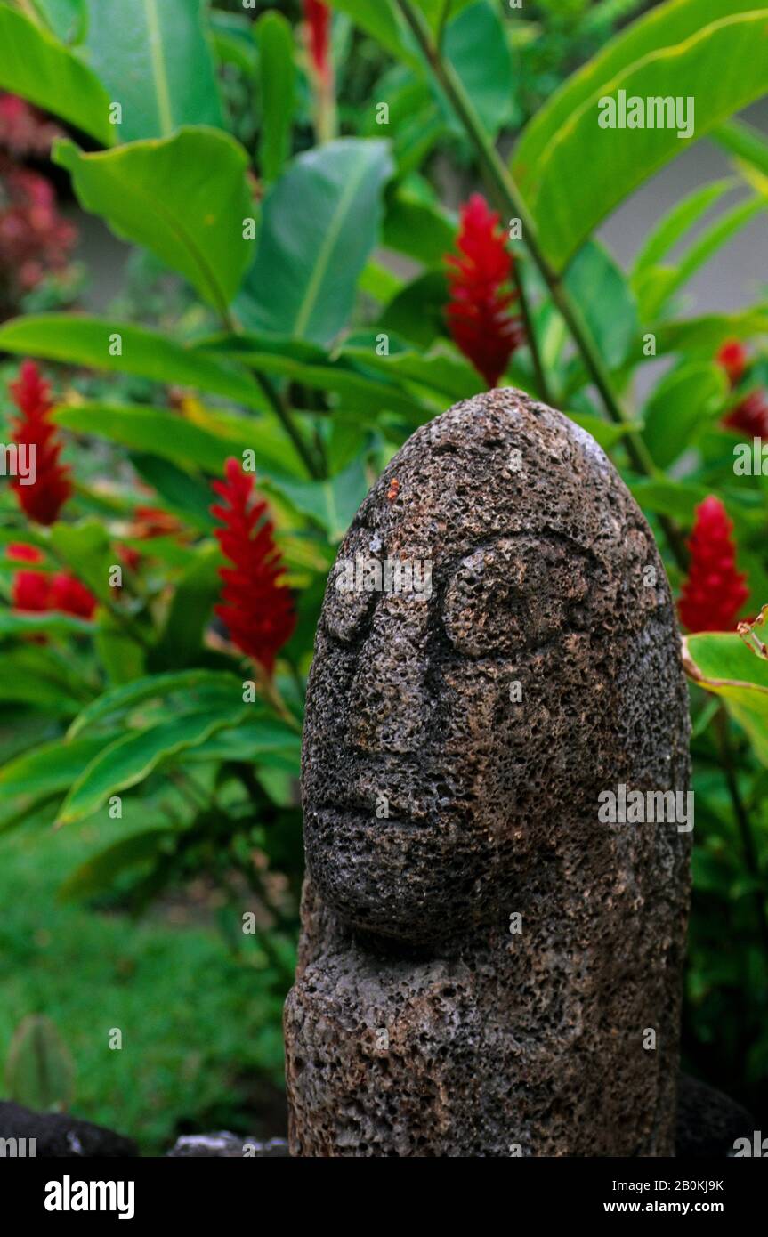 POLYNÉSIE FRANÇAISE, ÎLES DE LA SOCIÉTÉ, TAHITI, MUSÉE PAUL GAUGUIN, STATUE DE TIKI, GINGEMBRE ROUGE Banque D'Images