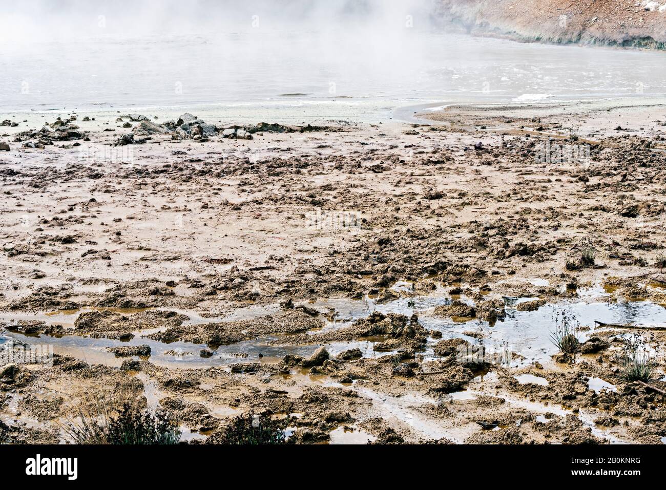 Sources d'eau chaude montrant l'activité géothermique, rivage boueux collant. La vapeur s'échappe de l'eau. Banque D'Images