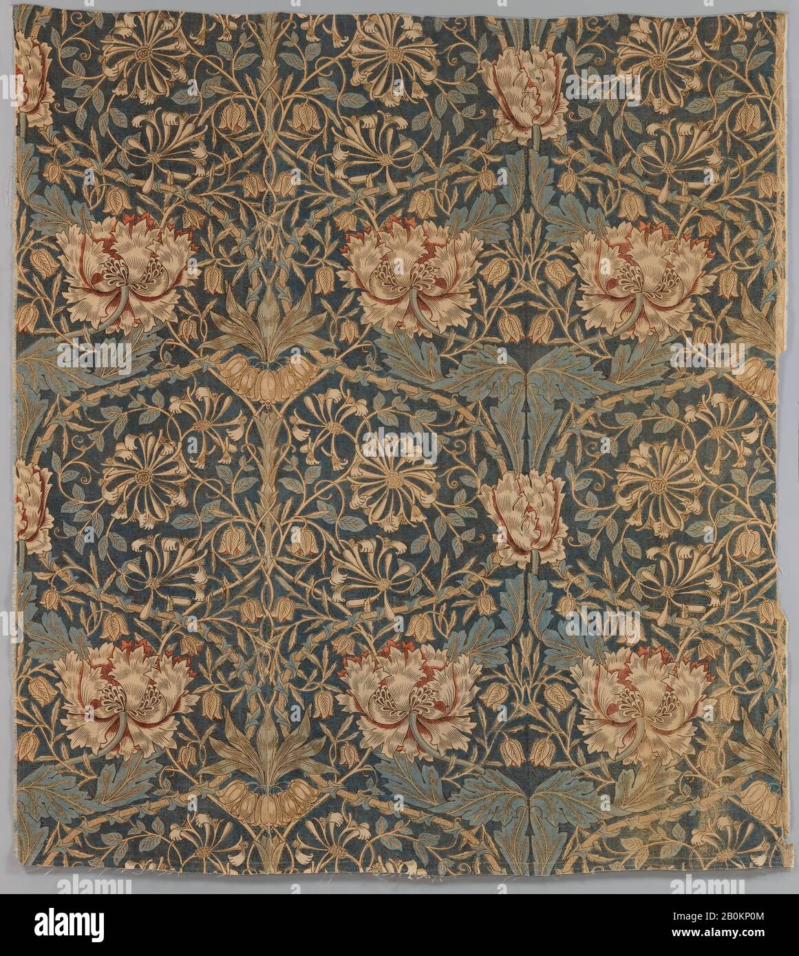 Conçu par William Morris, Honeysuckle, britannique, design enregistré 1876, imprimé 1876–77, britannique, lin, Dans L'Ensemble ('a' confirmé): 67 x 70 po. (170,2 x 177,8 cm), Total ('b' confirmé) : 37 3/4 x 53 1/4 po. (95,9 x 135,3 cm), Total ('c' confirmé) : 60 1/4 x 28 po. (153 x 71,1 cm), Total (d'après confirmation) : 20 3/4 x 53 3/4 po. (52,7 x 136,5 cm), Total ('e' confirmé) : 19 x 49 1/2 po. (48,3 x 125,7 cm), Total ('f' confirmé) : 2 3/4 x 55 po. (7 x 139,7 cm), Hors Tout (assemblé) : 67 x 60 po. (170,2 x 152,4 cm), textiles Imprimés Banque D'Images