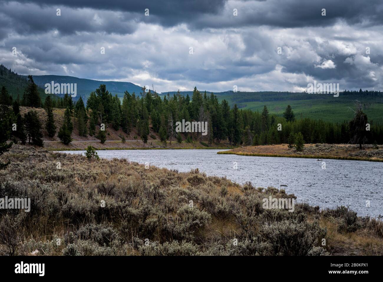 Matin nuageux sur la rive de la rivière avec des sapins et des arbres verts et des montagnes au-delà. Banque D'Images