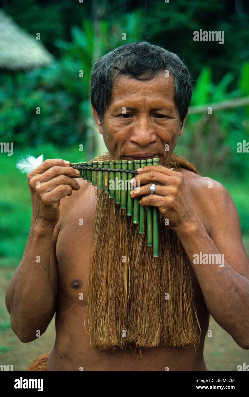 AMAZON RIVER, YAGUA INDIAN JOUANT À LA FLÛTE TRADITIONNELLE À ROSEAU Photo  Stock - Alamy