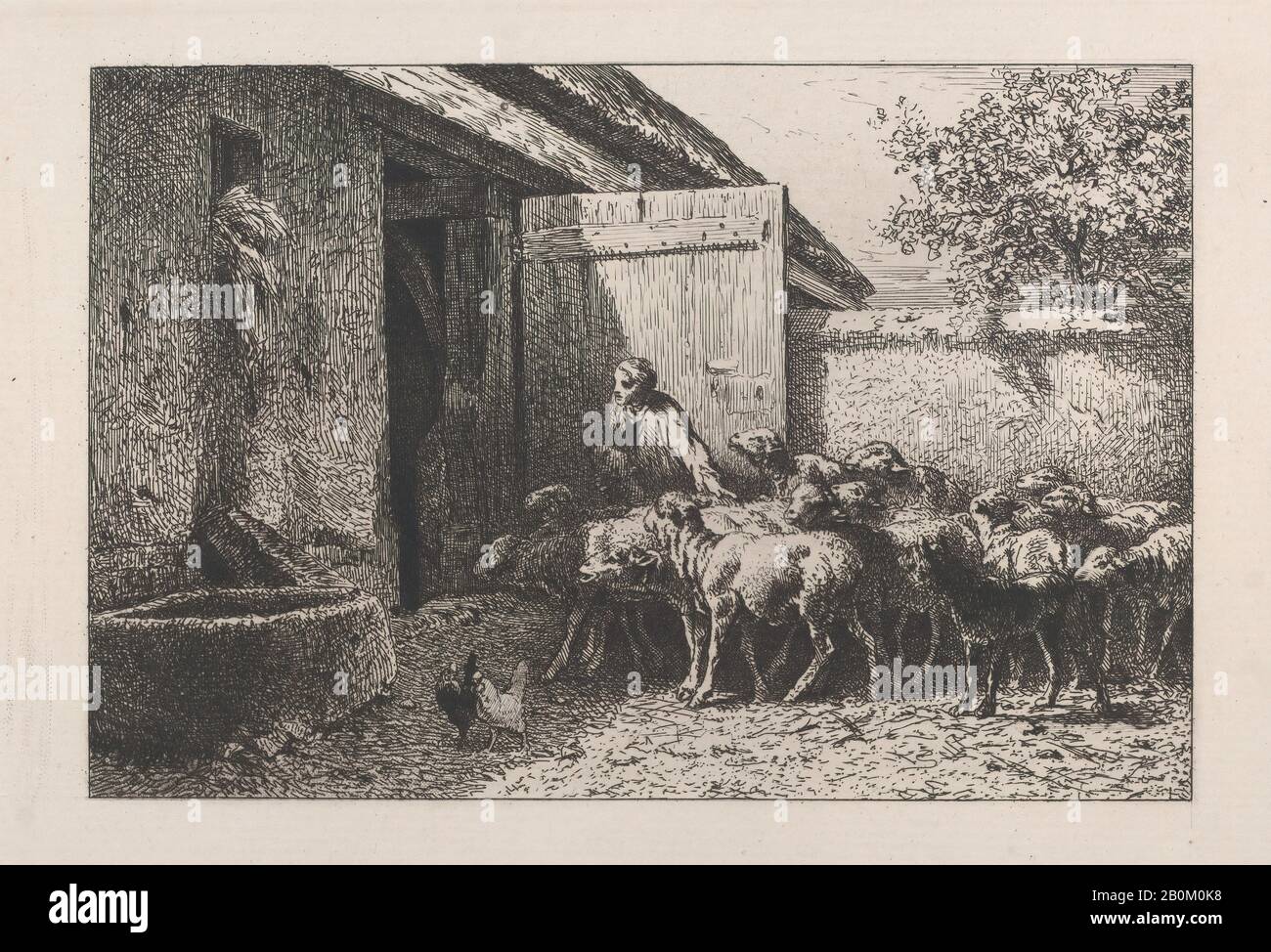 Charles Jacque, Sheep'S Pen, Charles Jacque (Français, Paris 1813–1894 Paris), 1865, Etching, Feuille : 8 7/16 × 13 3/8 In. (21,5 × 34 cm), plaque : 5 1/2 × 7 1/2 po. (14 × 19 cm), tirages Banque D'Images