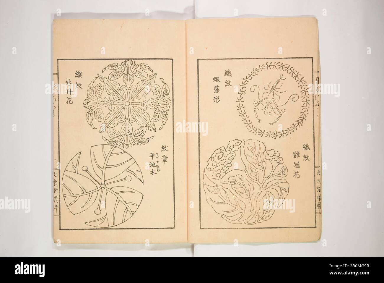 Nouvelles Idées pour les dessins et modèles, Japon, 1890, Japon, encre sur papier, En Général : 6 3/8 x 9 3/8 po. (16,2 x 23,8 cm), livres Illustrés Banque D'Images