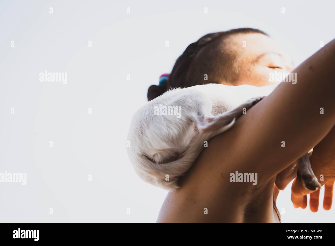 récolte abstraite de petit chien perché sur l'épaule des danseurs au soleil Banque D'Images