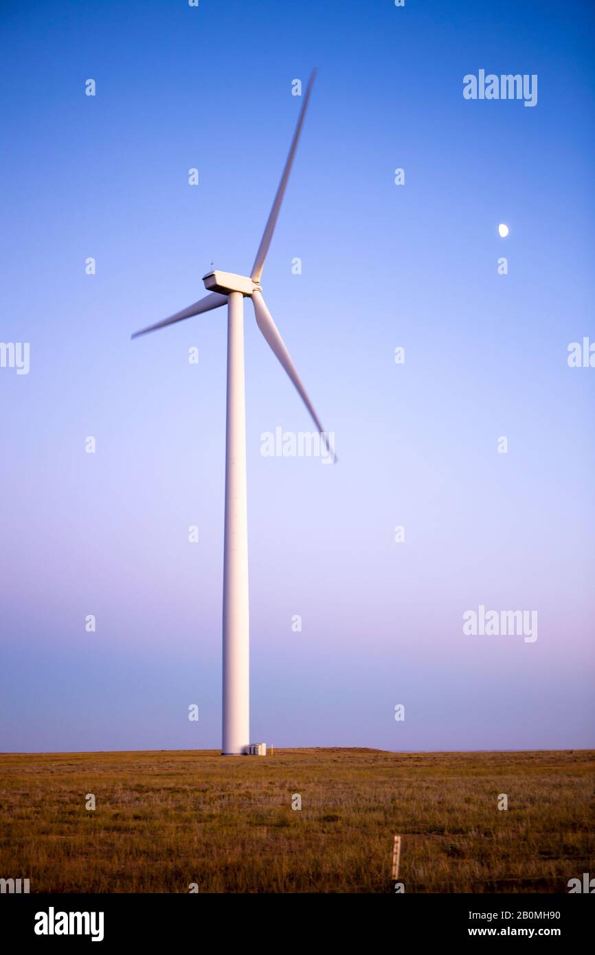 Éoliennes dans le champ contre le ciel bleu au crépuscule avec la lune Banque D'Images