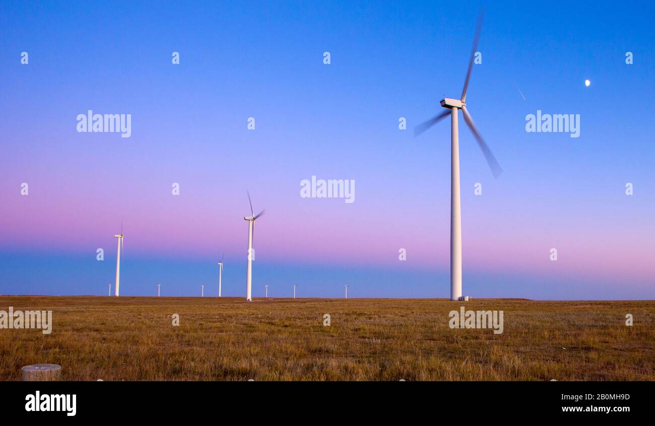 Éoliennes dans le champ contre ciel bleu avec lune Banque D'Images