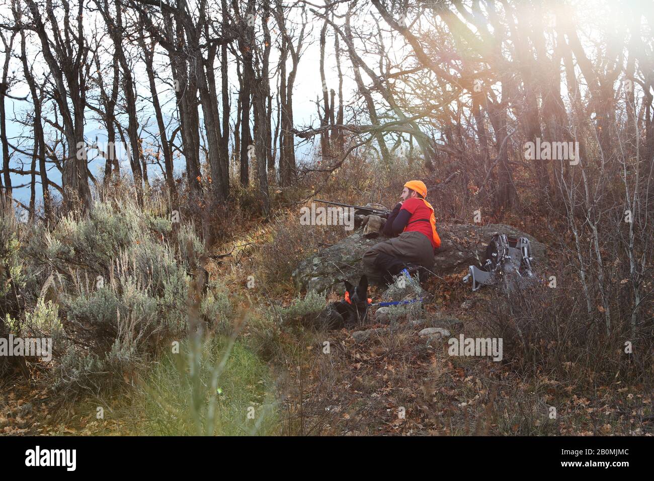 Un chasseur de mâles attend l'apparition d'un troupeau d'élan au Colorado Banque D'Images