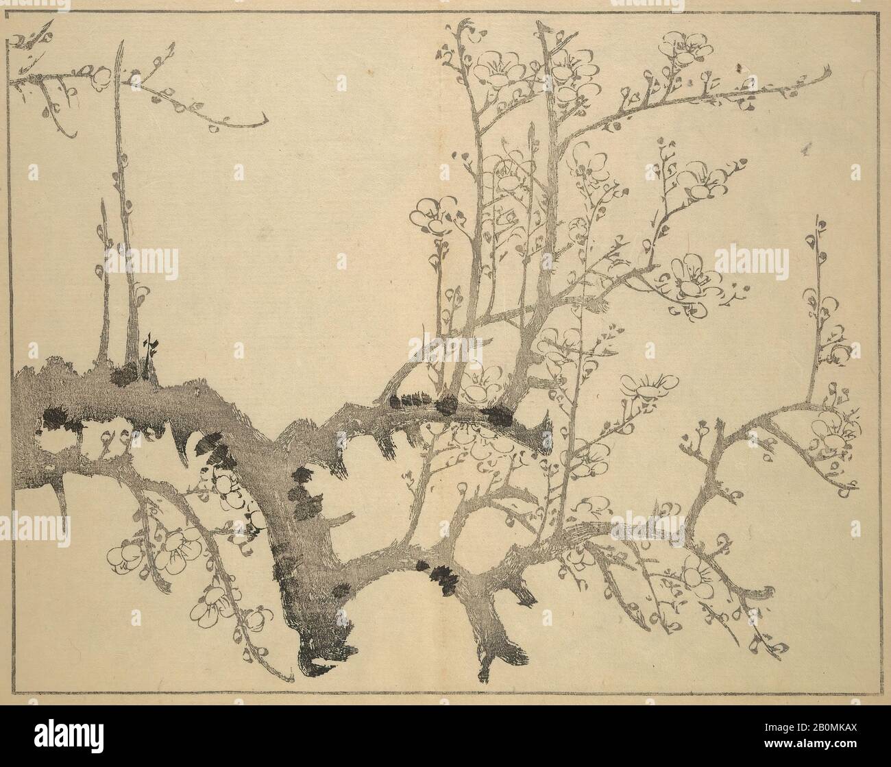 Nakabayashi Chikutō, Les Quatre vers (Plum, bambou, Orchid, artiste Nakabayashi Chikutō (japonais, 1776–1853), 1853, Japon, ensemble de deux livres imprimés en bloc de bois reliés comme un; encre sur papier, 10 9/16 × 6 7/8 po. (26,8 × 17,5 cm), Livres Illustrés Banque D'Images