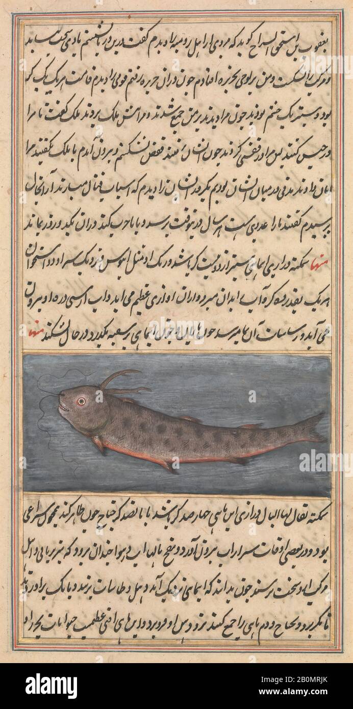 Illustration de poissons d'un manuscrit Cosmologique, manuscrit Illustré, folio, XVIIIe siècle, Pays d'origine éventuellement Iran, encre, aquarelle opaque et or sur paper, Codices Banque D'Images