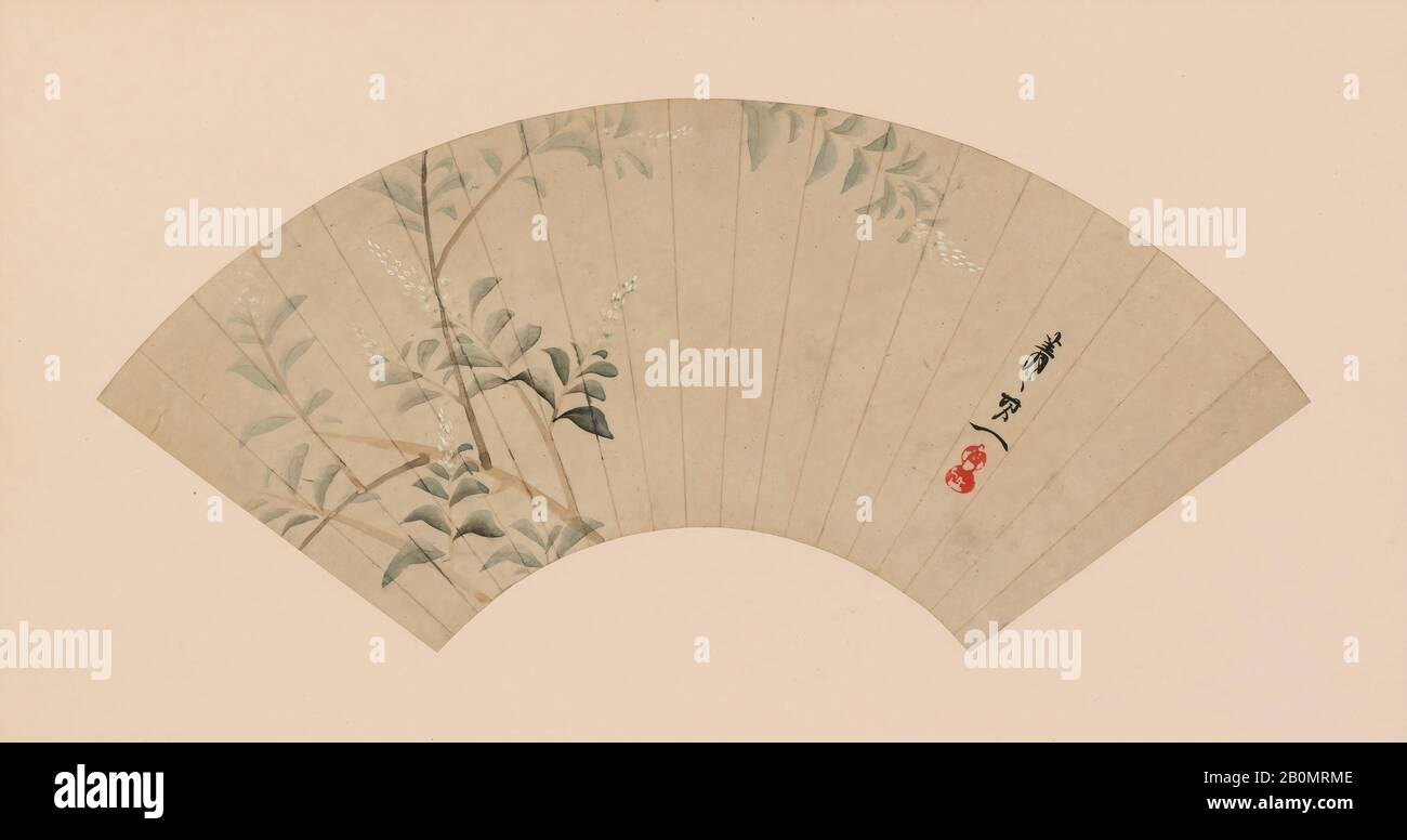 Suzuki Kiitsu, Bush Clover, Japon, période Edo (1615–1868), Suzuki Kiitsu (japonais, 1796–1858), Japon, ventilateur pliant monté comme feuille d'album; encre et couleur sur papier, encadré, image: 9 7/16 × 20 5/8 in. (24 × 52,4 cm), Peintures Banque D'Images