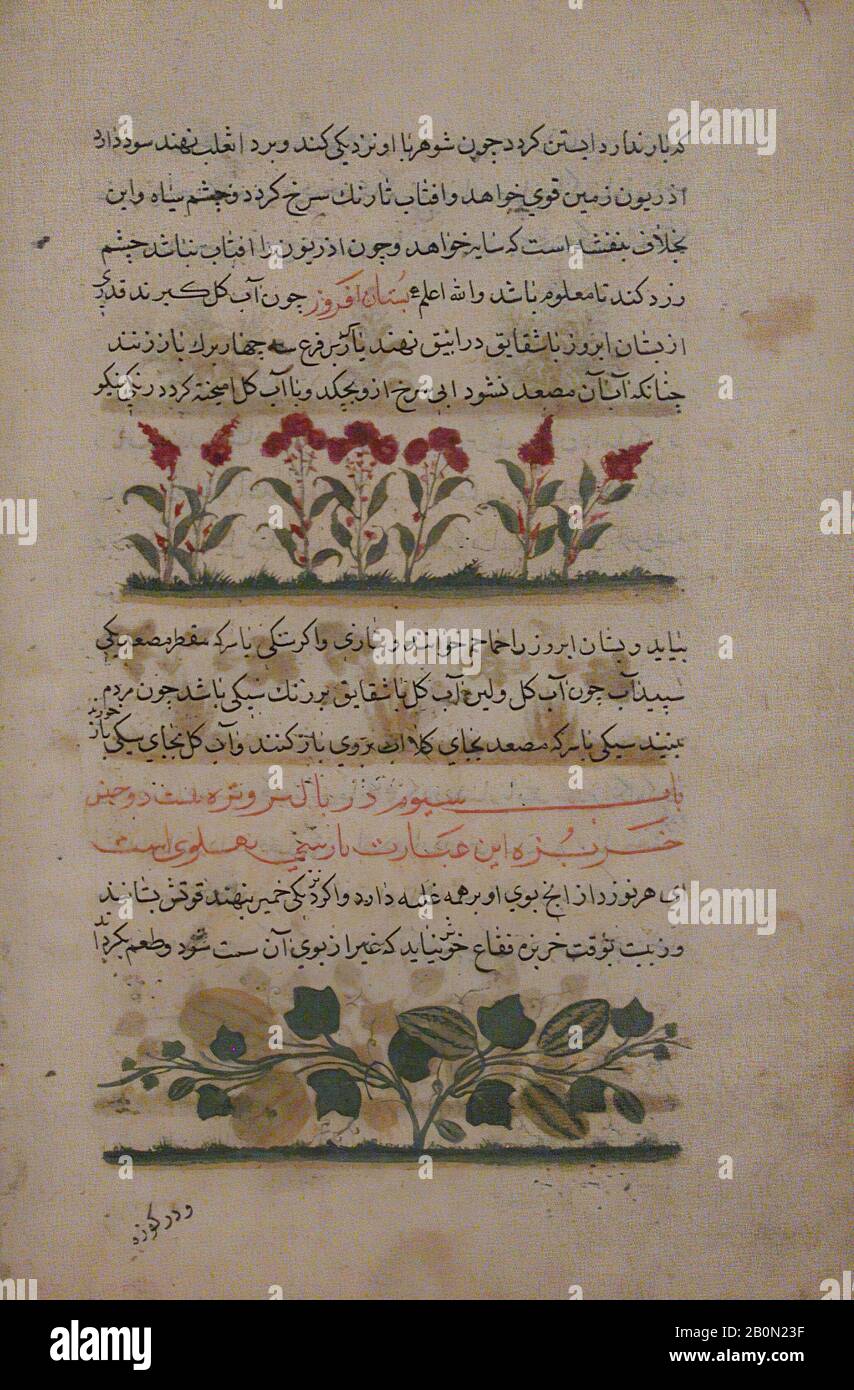 Shamardan ibn Abi 'l Khayr, 'Purple Amaranth and Watermelon', Folio d'un Nuzhatnama-i Dispersé 'Ala’i de Shahmardan ibn Abi’l Khayr, Shamardan ibn Abi 'l Khayr (actif XIe siècle), Folio d'un manuscrit illustré, début du XVe siècle, Attribué à l'encre opaque, l'Iran, couleur d'or, couleur : H. 7 1/2 po. (19,1 cm), avec 4 1/4 po. (10,8 cm), page : (24,4 cm), avec 6 5/8 po. (16,8 cm), tapis : H. 19 1/4 po. (48,9 cm), avec 14 1/4 po. (36,2 cm), Codices Banque D'Images
