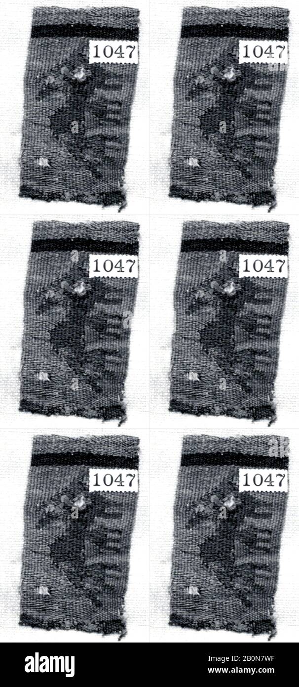 Tapisserie Fragment, Pérou; côte centrale (?), 10ème–15ème siècle, Pérou, province de Lima, Pérou; côte centrale (?), cheveux Camélidés, coton, Dans L'Ensemble: 2 3/4 x 1 1/2 po. (6,99 x 3,81 cm), Autre : (6,99 cm), textiles-tissés Banque D'Images