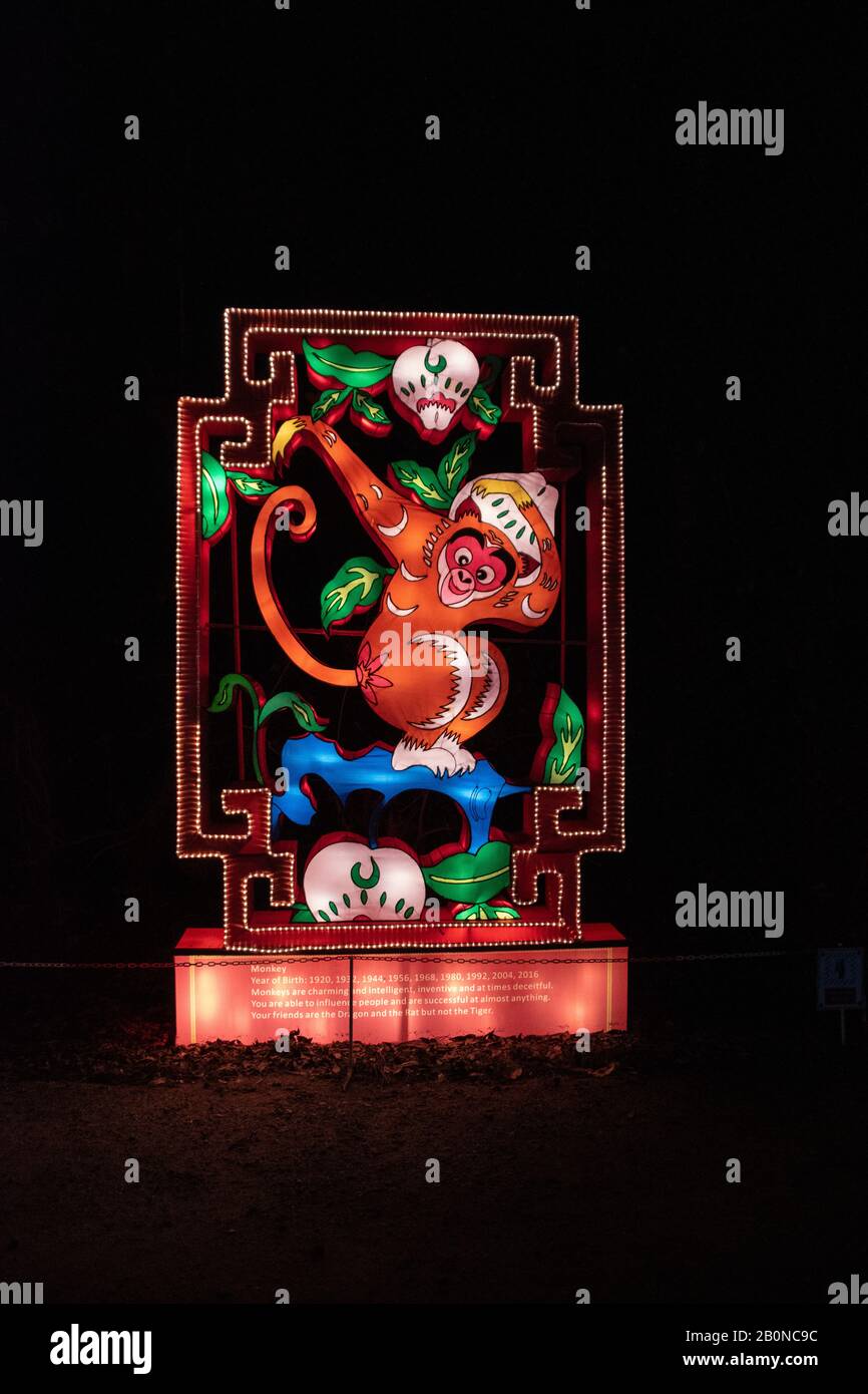 Charleston, SC - 2 février 2020: Année chinoise du singe des lumières de la plantation Magnolia Banque D'Images