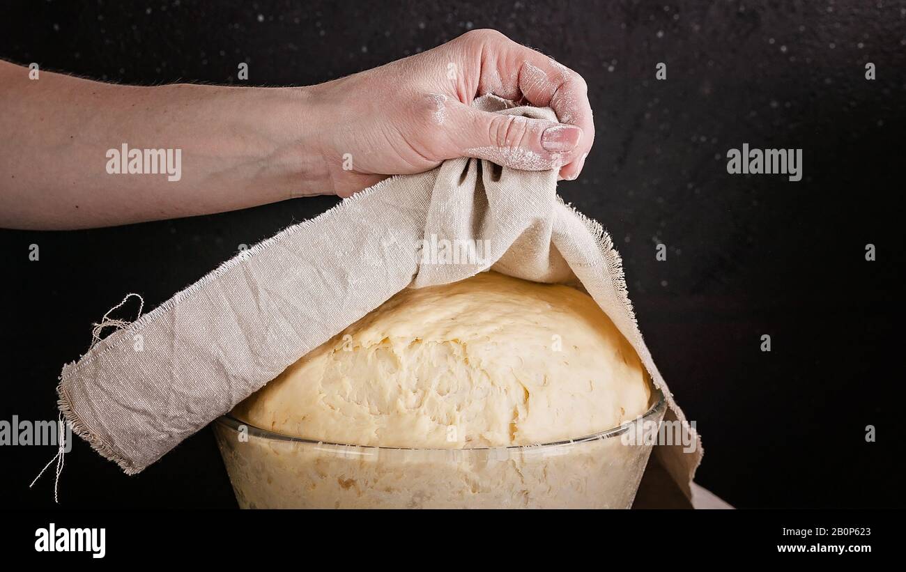 Bannière alimentaire. Les mains féminines tiennent une serviette sur une pâtisserie fermentée maison pour les petits pains. Gros plan. Recette étape par étape Banque D'Images