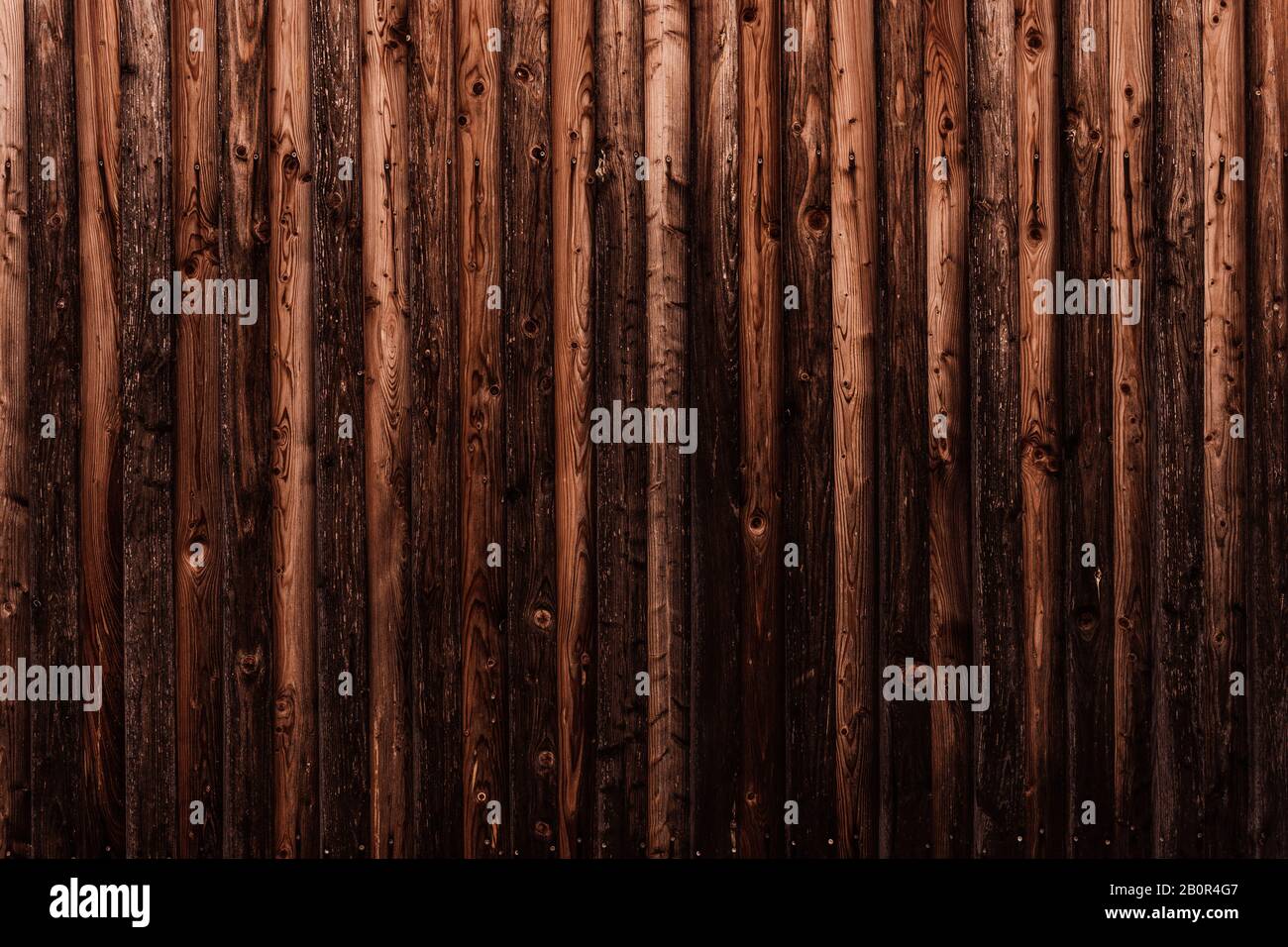 WOM a endommagé la paroi en bois en marron comme fond ou texture Banque D'Images