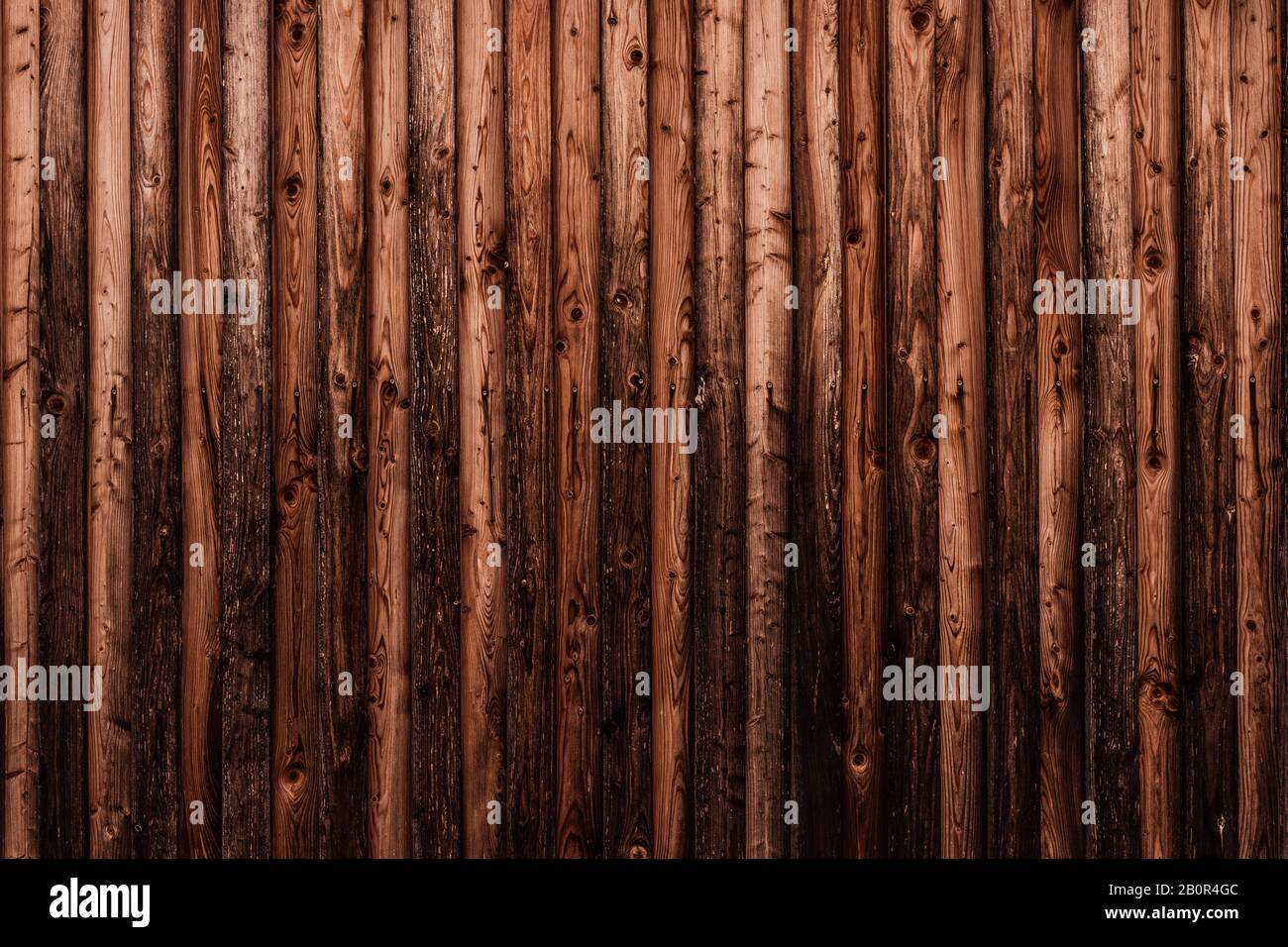 WOM a endommagé la paroi en bois en marron comme fond ou texture Banque D'Images