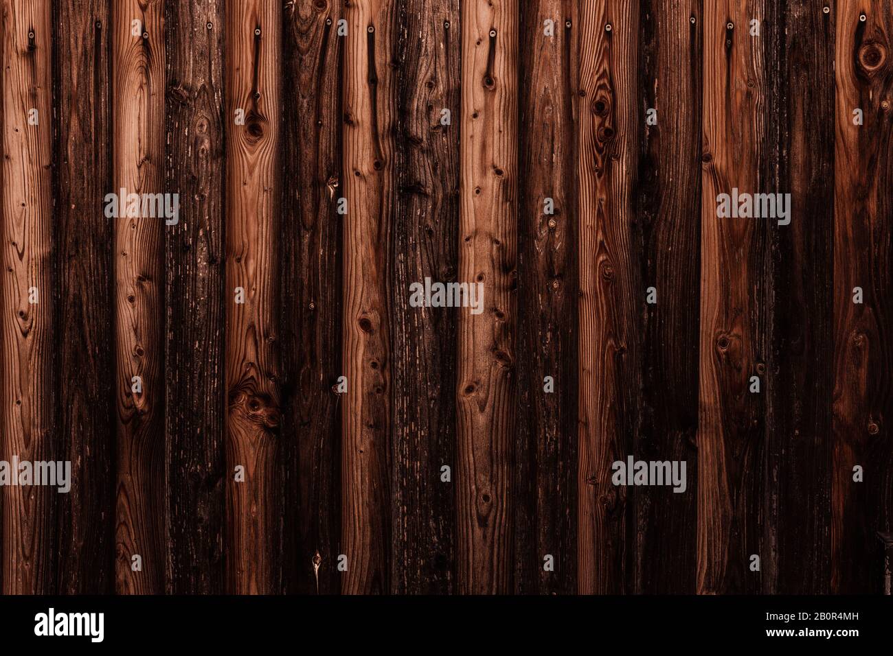 WOM a endommagé la paroi en bois en marron comme fond ou texture Banque D'Images