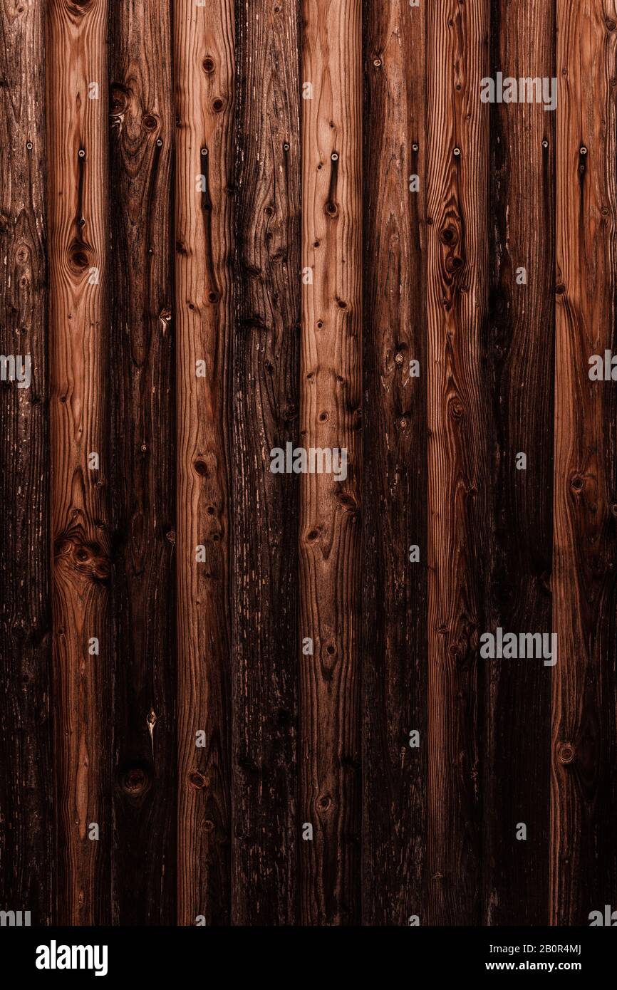WOM a endommagé la paroi en bois en marron comme fond ou texture Banque D'Images