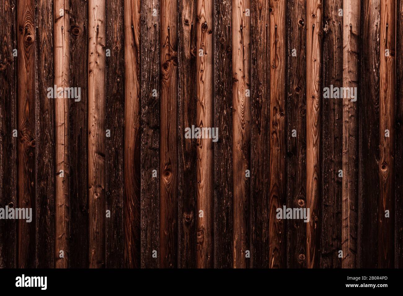 WOM a endommagé la paroi en bois en marron comme fond ou texture Banque D'Images