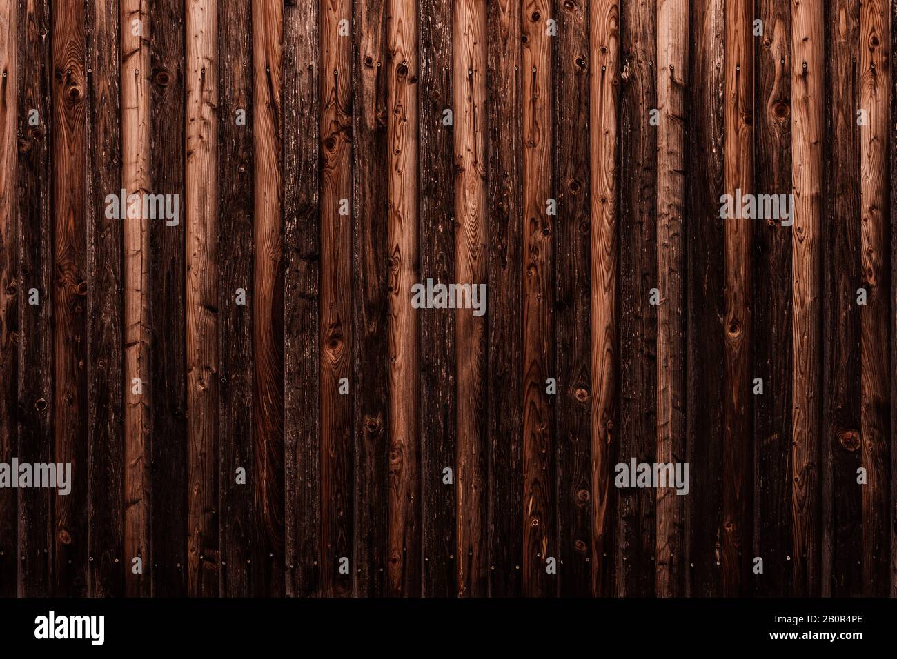 WOM a endommagé la paroi en bois en marron comme fond ou texture Banque D'Images