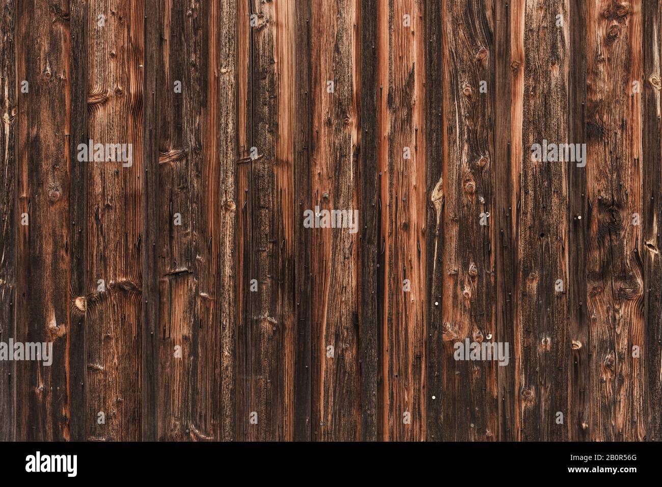 WOM a endommagé la paroi en bois en marron comme fond ou texture Banque D'Images