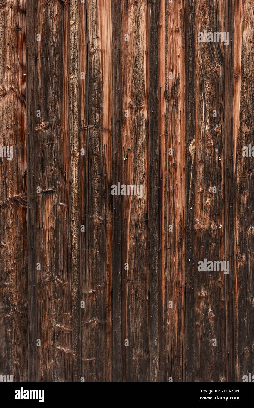 WOM a endommagé la paroi en bois en marron comme fond ou texture Banque D'Images