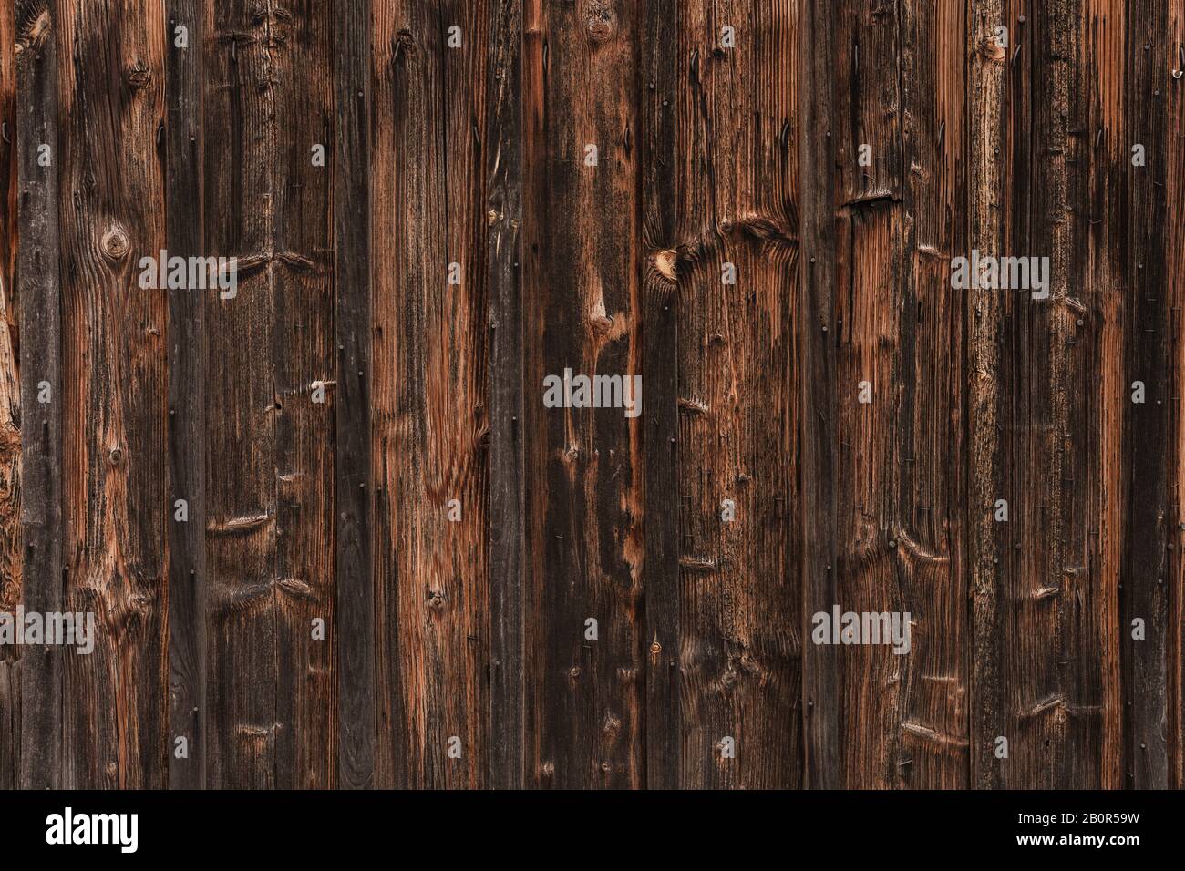 WOM a endommagé la paroi en bois en marron comme fond ou texture Banque D'Images