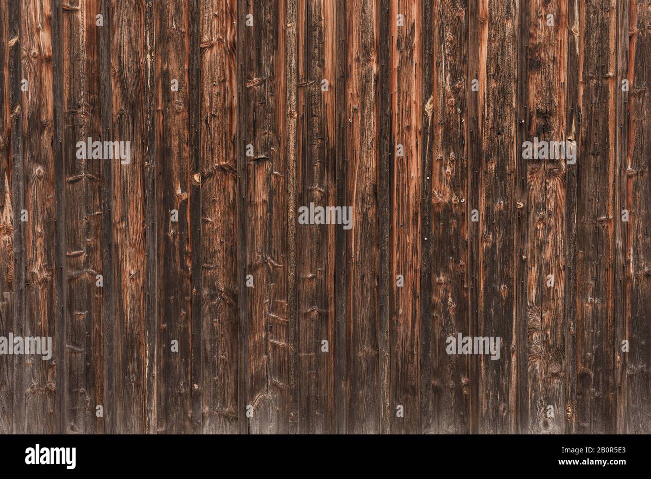 WOM a endommagé la paroi en bois en marron comme fond ou texture Banque D'Images