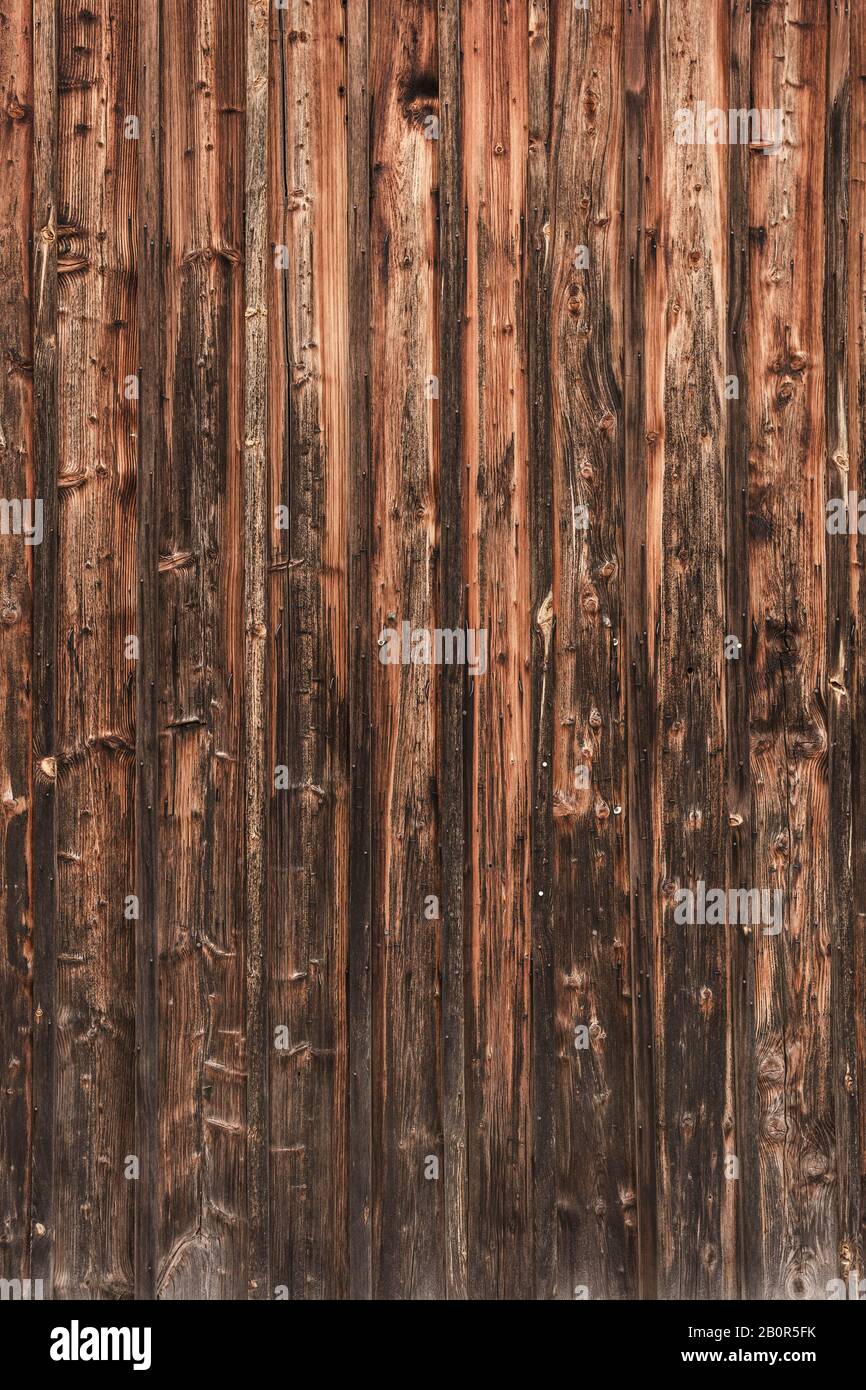 WOM a endommagé la paroi en bois en marron comme fond ou texture Banque D'Images