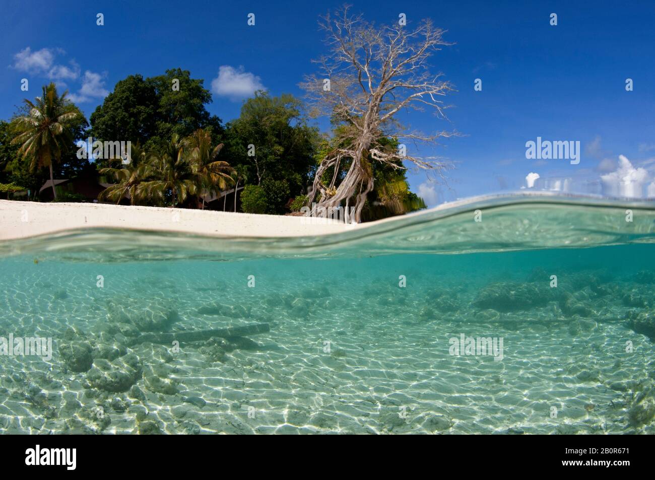 Zone peu profonde d'une plage sur l'île de Sipadan, en Malaisie Banque D'Images