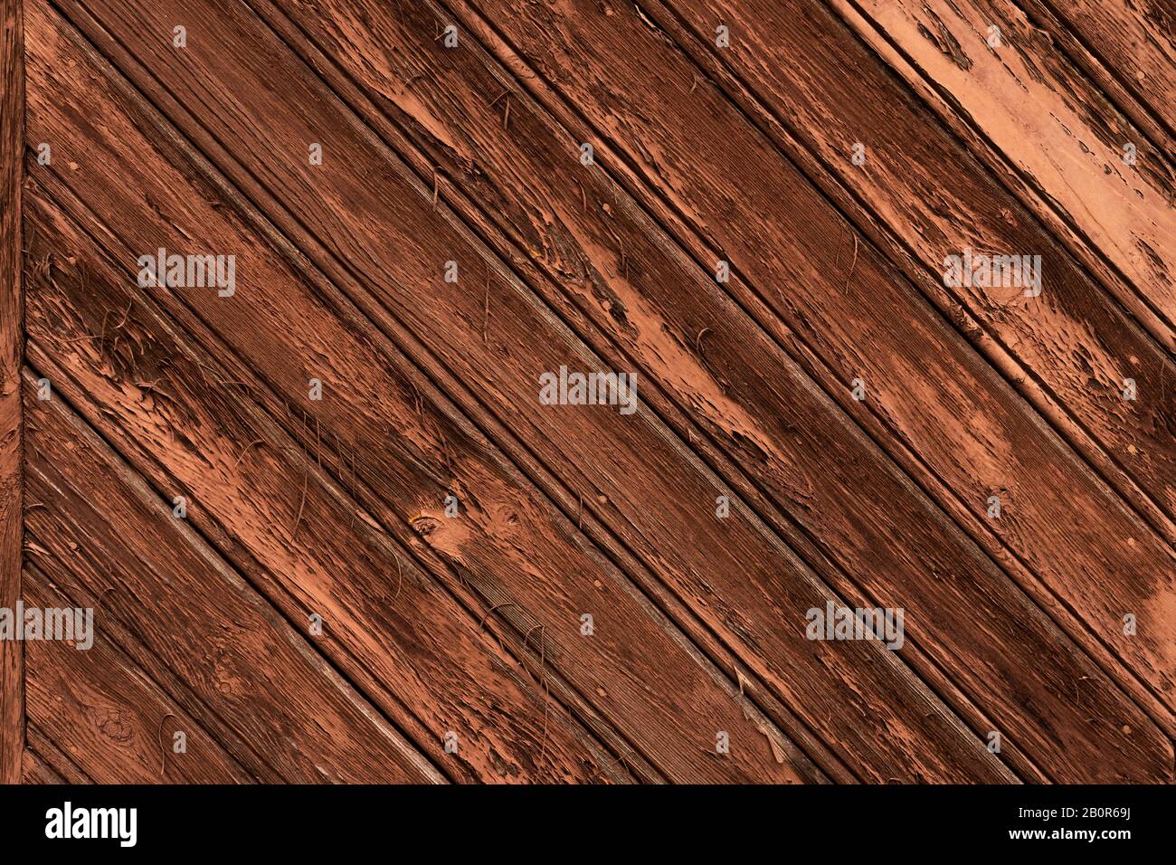 WOM a endommagé la paroi en bois en marron comme fond ou texture Banque D'Images