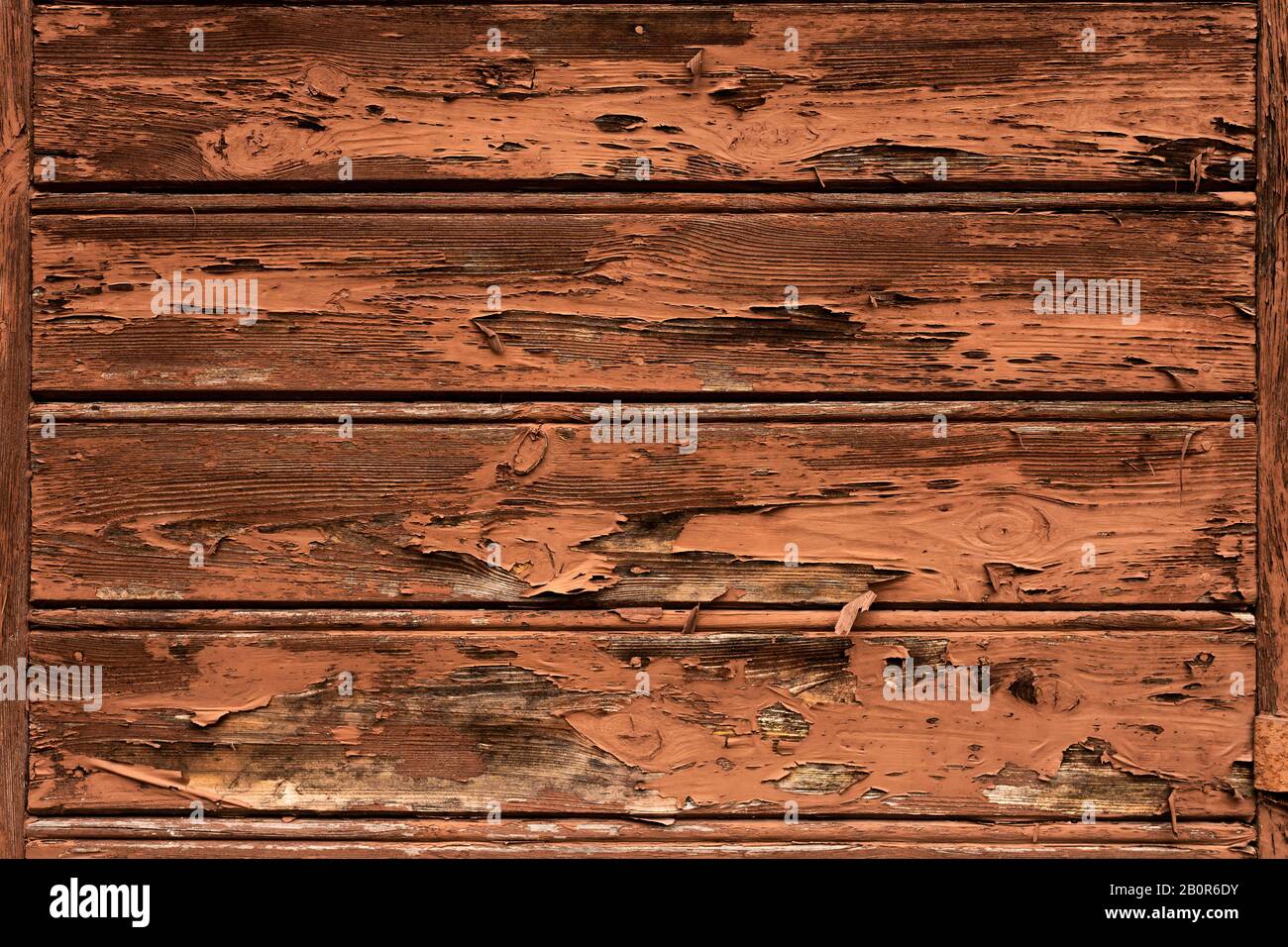 WOM a endommagé la paroi en bois en marron comme fond ou texture Banque D'Images