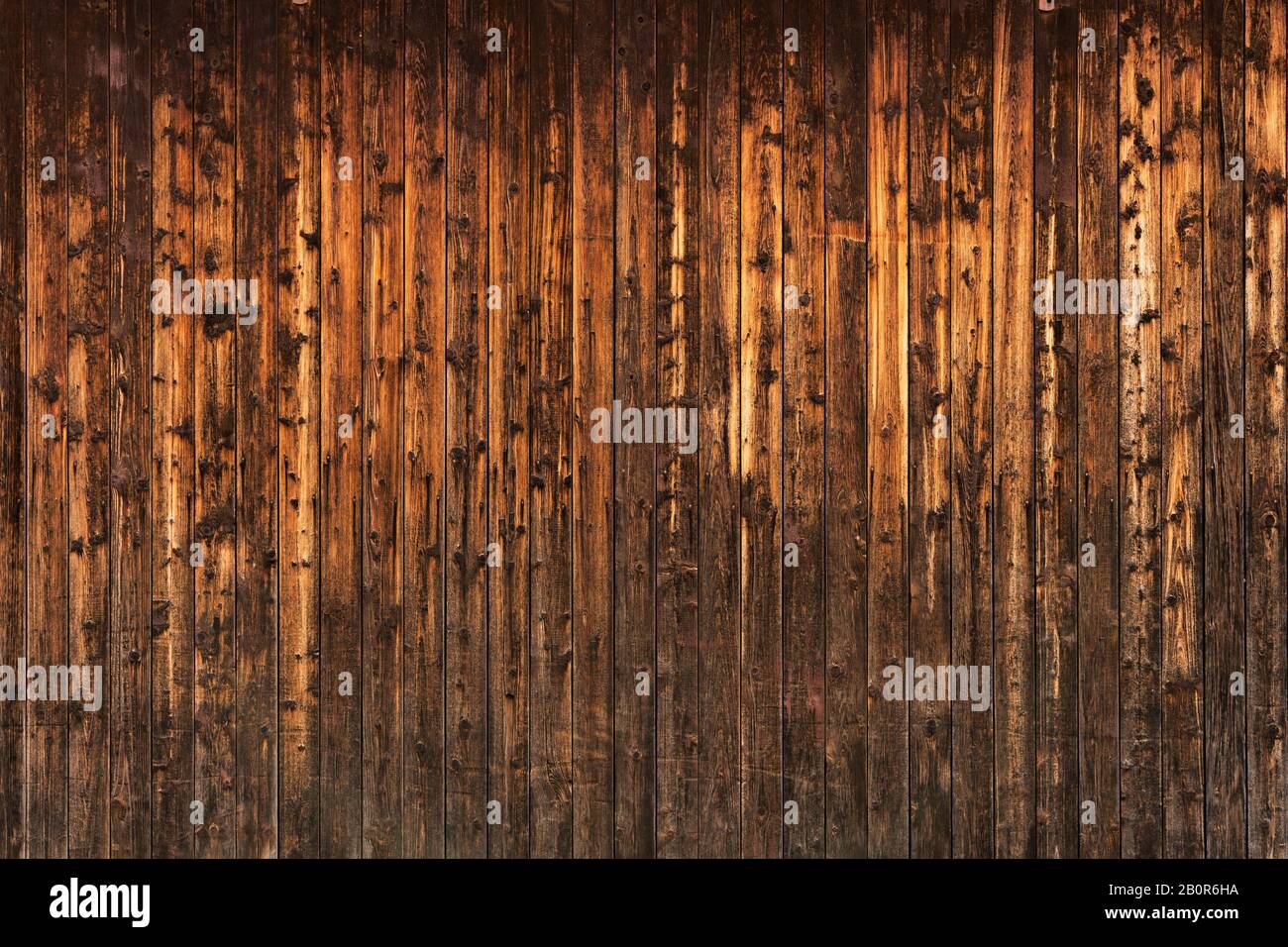 WOM a endommagé la paroi en bois en marron comme fond ou texture Banque D'Images