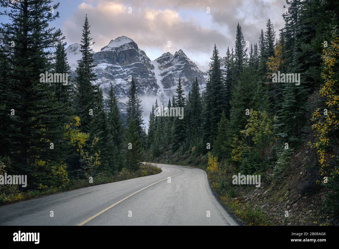 Route avec montagnes rocheuses dans la forêt de pins du lac Moraine dans le parc national Banff, Canada Banque D'Images