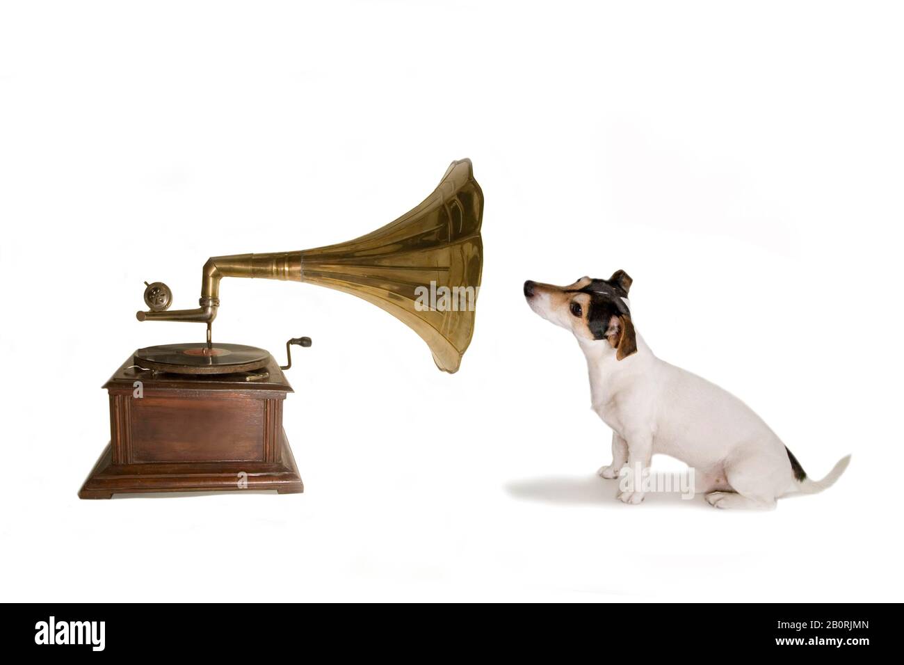 Jack Russell avec gramophone, parodie sur "Sa voix de maîtres", Berlin, Allemagne Banque D'Images