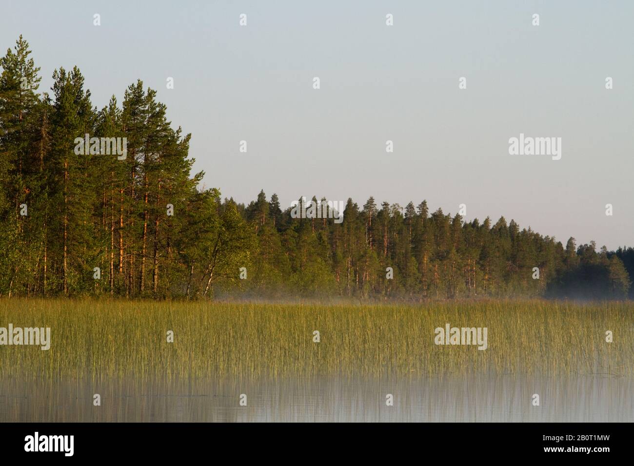 Lac de la Taïga en Finlande, Finlande Banque D'Images