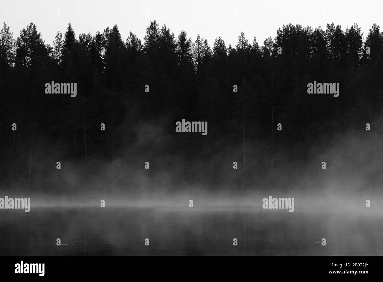 Lac de la Taïga en Finlande, Finlande Banque D'Images