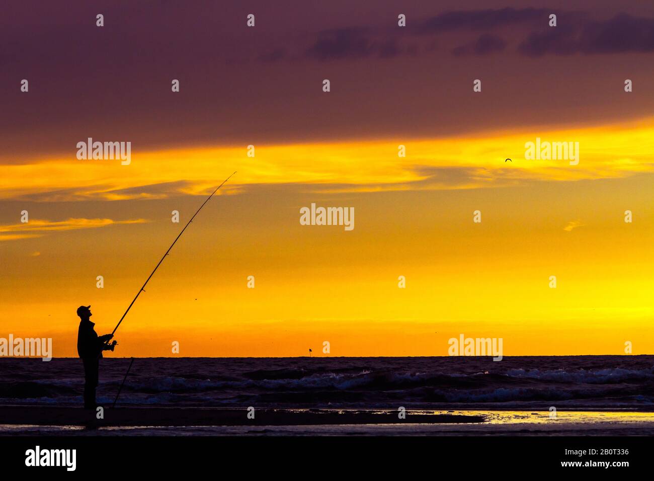 Pêcheur sportif au coucher du soleil, Pays-Bas, Hollande du Sud Banque D'Images