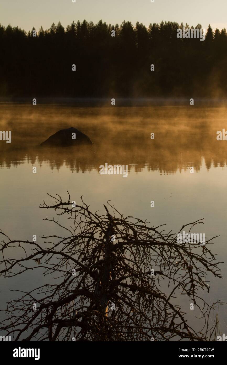 Lac de la Taïga en Finlande, Finlande Banque D'Images